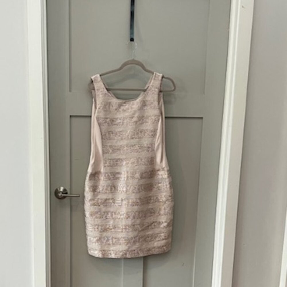 Pale Pink Bandolera Dress Suit